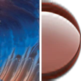 Maui Jim Honi 758 Bifocal Reading Sunglasses - Image 44